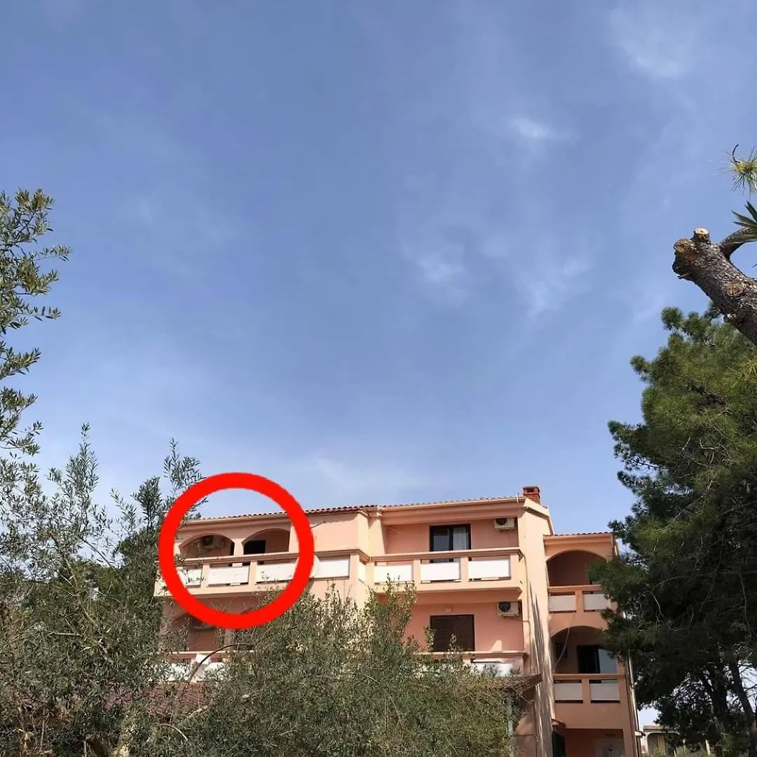Apartment Villa Matea - Vir